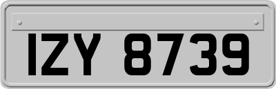 IZY8739