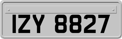 IZY8827