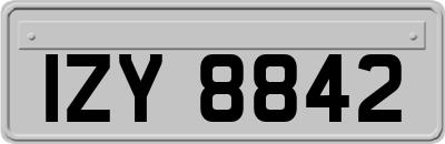 IZY8842
