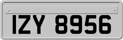 IZY8956