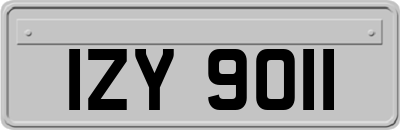 IZY9011