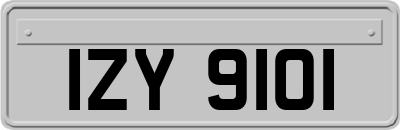 IZY9101