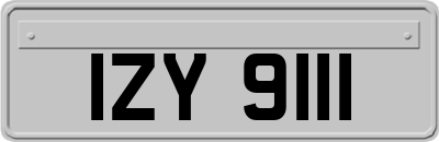IZY9111