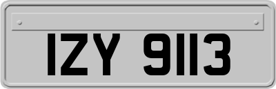 IZY9113