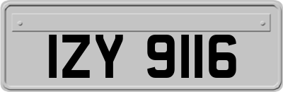 IZY9116