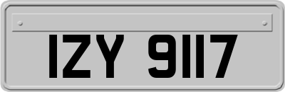 IZY9117