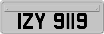 IZY9119