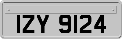 IZY9124
