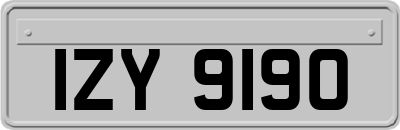 IZY9190
