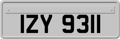 IZY9311