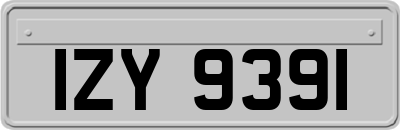 IZY9391