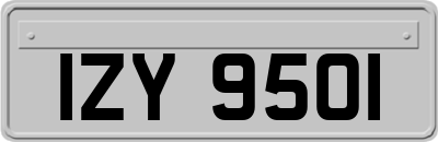 IZY9501