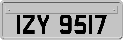 IZY9517