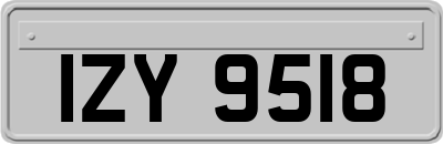 IZY9518