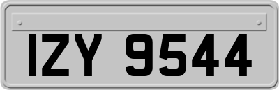 IZY9544