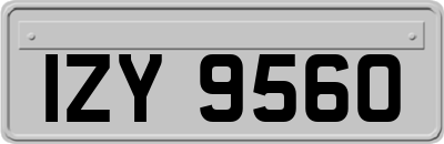 IZY9560
