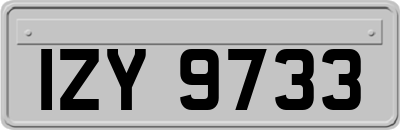 IZY9733
