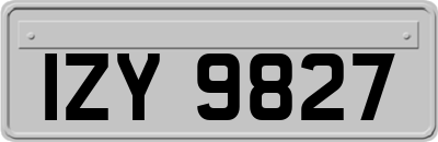 IZY9827