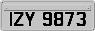 IZY9873