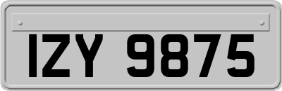 IZY9875