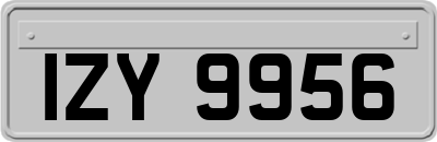 IZY9956