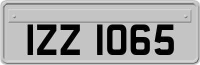 IZZ1065