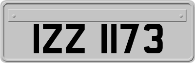 IZZ1173