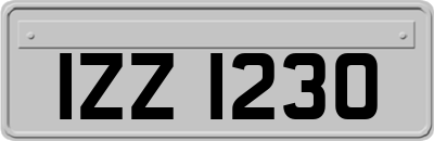 IZZ1230