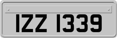 IZZ1339