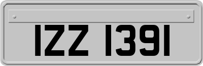 IZZ1391