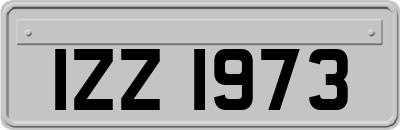 IZZ1973