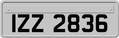 IZZ2836
