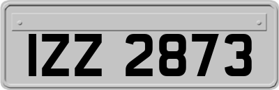 IZZ2873