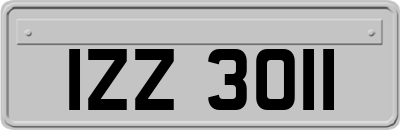 IZZ3011