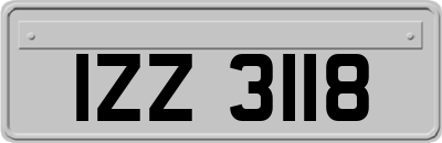 IZZ3118