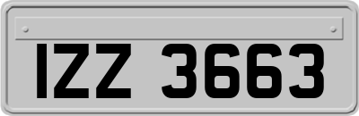 IZZ3663