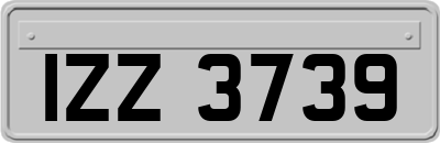 IZZ3739