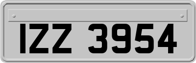 IZZ3954