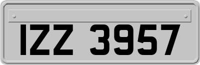 IZZ3957