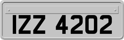 IZZ4202