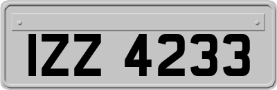 IZZ4233