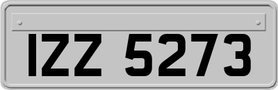 IZZ5273
