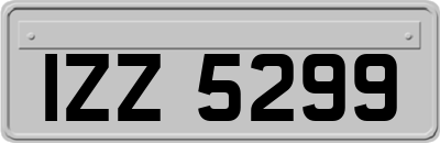 IZZ5299