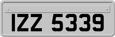 IZZ5339