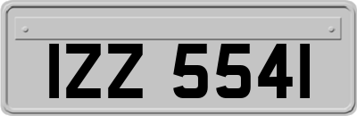 IZZ5541