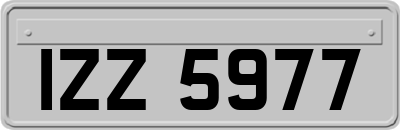 IZZ5977