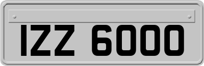 IZZ6000