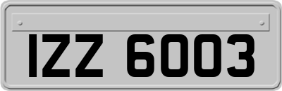 IZZ6003