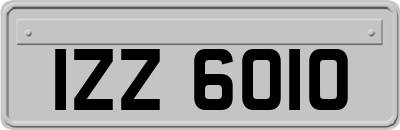 IZZ6010