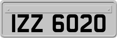 IZZ6020